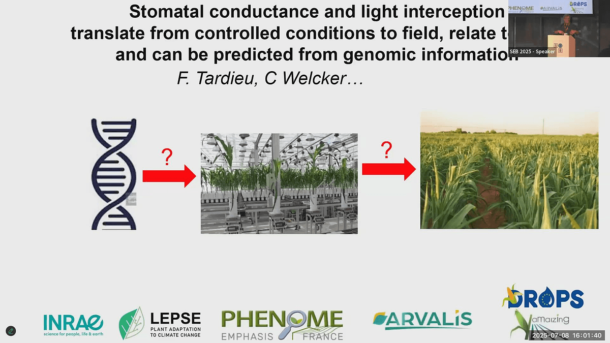 Lecture image placeholder