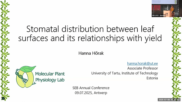 Stomatal distribution between leaf surfaces and its relationships with yield