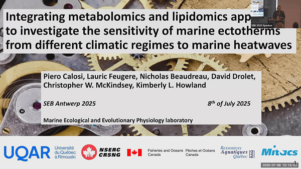 Integrating metabolomics and lipidomics approaches to investigate the sensitivity of marine ectotherms from different climatic regimes to marine heatwaves