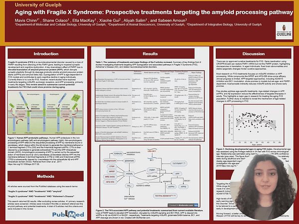 Aging with Fragile X Syndrome: Prospective Treatments Targeting the Amyloid Processing Pathway