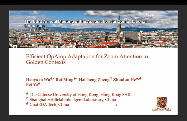 Efficient OpAmp Adaptation for Zoom Attention to Golden Contexts