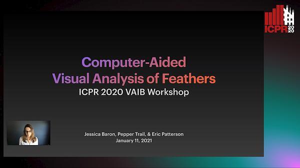 Computer-Aided Visual Analysis of Feathers