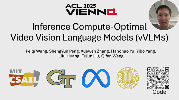 Inference Compute-Optimal Video Vision Language Models