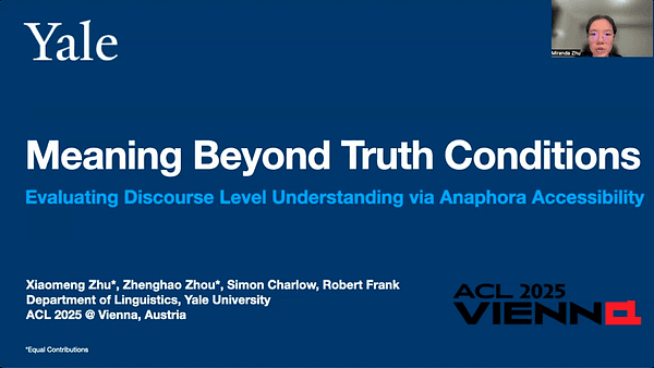 Meaning Beyond Truth Conditions: Evaluating Discourse Level Understanding via Anaphora Accessibility