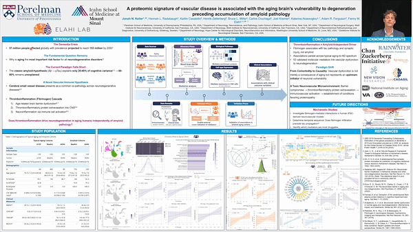 A proteomic signature of vascular disease is associated with the aging brain's vulnerability to degeneration preceding accumulation of amyloid pathology