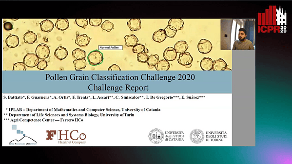 Pollen Grain Classification Challenge 2020 - Challenge Report