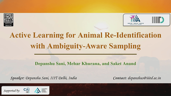 Active Learning for Animal Re-Identification with Ambiguity-Aware Sampling