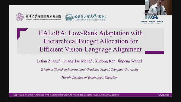 HALoRA: Low-Rank Adaptation with Hierarchical Budget Allocation for Efficient Vision-Language Alignment