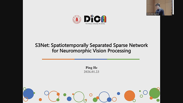 S3Net: Spatiotemporally Separated Sparse Network for Neuromorphic Vision Processing