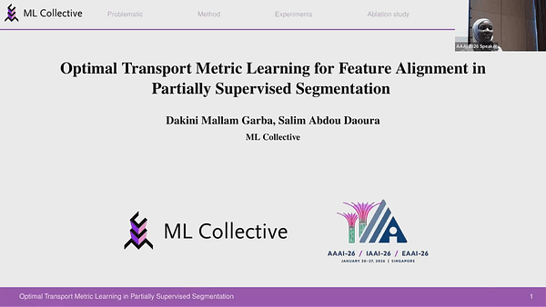 Optimal Transport Metric Learning for Feature Alignment in
Partially Supervised Segmentation