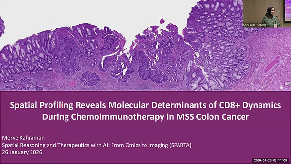 Spatial profiling reveals molecular determinants of CD8+ dynamics during chemo-immunotherapy in MSS colon cancer
