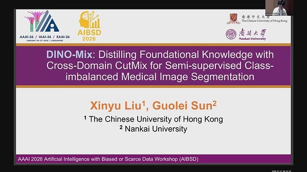DINO-Mix: Distilling Foundational Knowledge with Cross-Domain CutMix for Semi-supervised Class-imbalanced Medical Image Segmentation