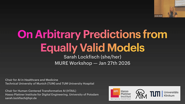 On Arbitrary Predictions From Equally Valid Models