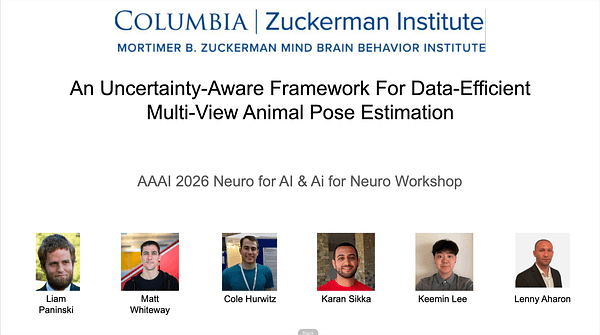 An Uncertainty-Aware Framework For Data-Efficient Multi-View Animal Pose Estimation