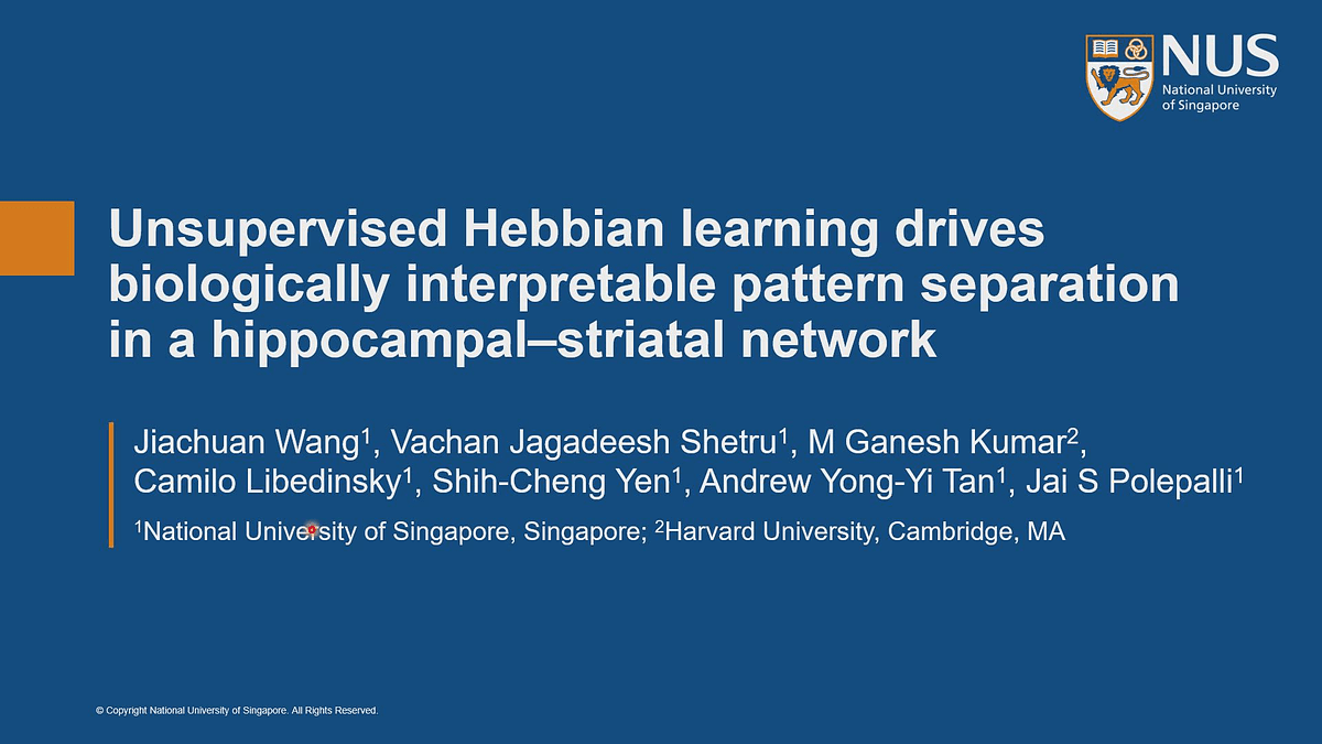 Lecture image placeholder