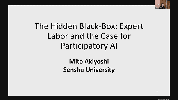 The Hidden Black-Box: Expert Labor and the Case for Participatory AI;