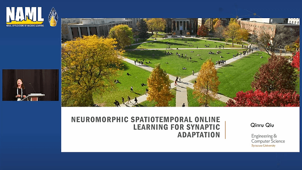 Neuromorphic Spatiotemporal Online Learning for Synaptic Adaptation