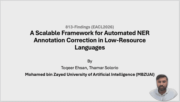 A Scalable Framework for Automated NER Annotation Correction in Low-Resource Languages