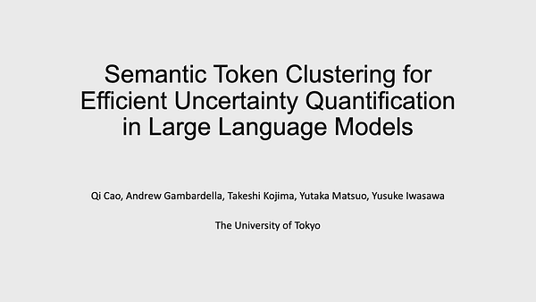 Semantic Token Clustering for Efficient Uncertainty Quantification in Large Language Models