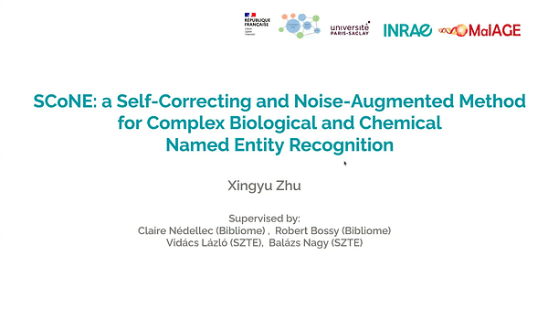 SCoNE: a Self-Correcting and Noise-Augmented Method for Complex Biological and Chemical Named Entity Recognition