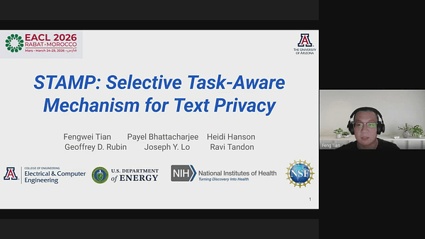 STAMP: Selective Task-Aware Mechanism for Text Privacy