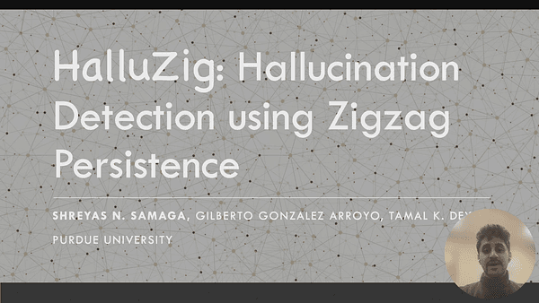 HalluZig: Hallucination Detection using Zigzag Persistence