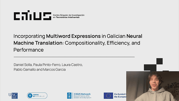 Incorporating Multiword Expressions in Galician Neural Machine Translation:Compositionality, Efficiency, and Performance