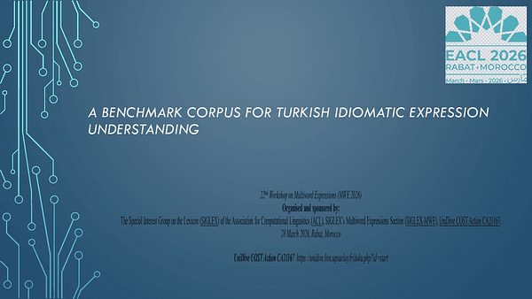 A Benchmark Corpus for Turkish Idiomatic Expression Understanding