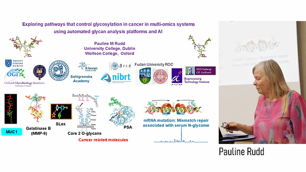 Glycosylation Pathways in Cancer via AI and Automated Glycan Analysis