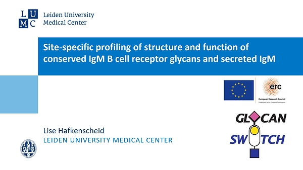 Site-specific profiling of structure & function of IgM B cell receptor glycans