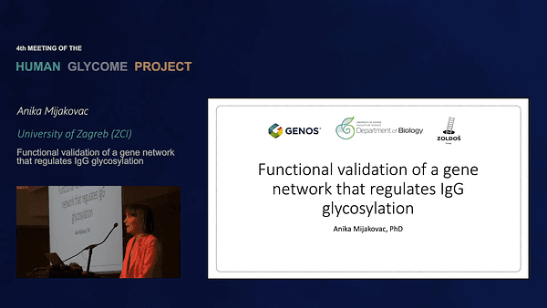 Functional validation of a gene network that regulates IgG glycosylation