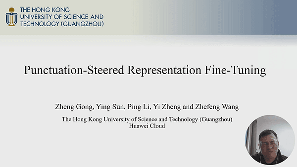 Punctuation-Steered Representation Fine-Tuning