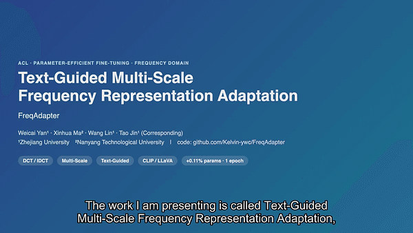 Text-Guided Multi-Scale Frequency Representation Adaptation