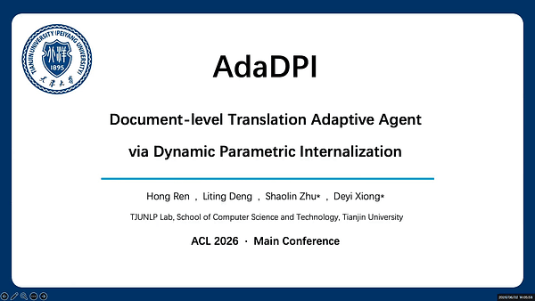 AdaDPI: Document-level Translation Adaptive Agent via Dynamic Parametric Internalization