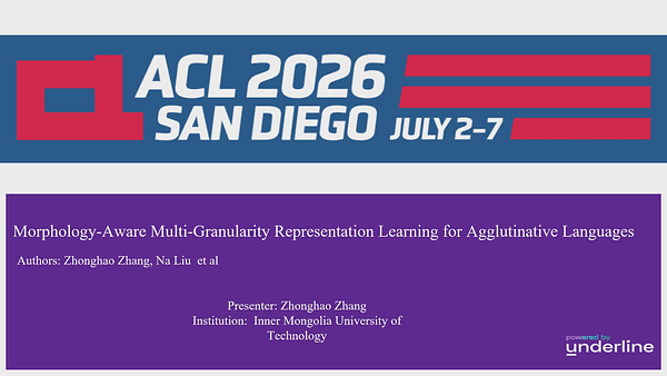 Morphology-Aware Multi-Granularity Representation Learning for Agglutinative Languages