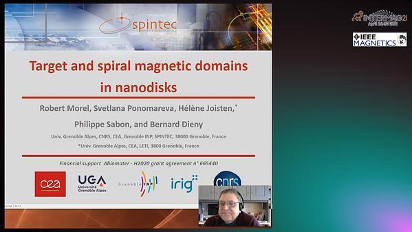 Concentric target domains in magnetic nanodisks