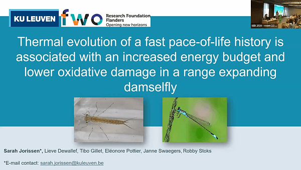 Thermal evolution of a fast pace-of-life is associated with increased energy budget and lower oxidative damage in a range-expanding damselfly