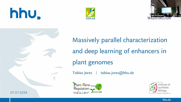 Massively parallel characterization and deep learning of enhancers in plant genomes