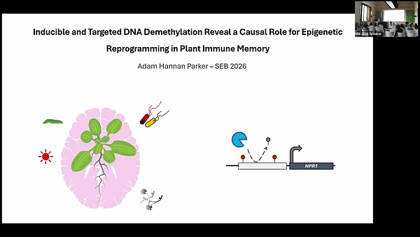 Inducible and Targeted DNA Demethylation Reveal a Causal Role for Epigenetic Reprogramming in Plant Immune Memory
