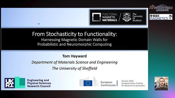  From Stochasticity to Functionality: Harnessing Magnetic Domain Walls for Probabilistic and Neuromorphic Computing