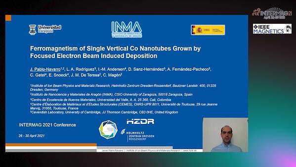  Ferromagnetism of Single Vertical Cobalt Nanotubes Grown by Focused Electron Beam Induced Deposition