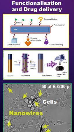 Functional Heusler Nanowires