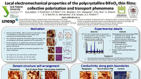 Local electromechanical properties of the polycrystalline BiFeO3 thin films: collective polarization and transport phenomena