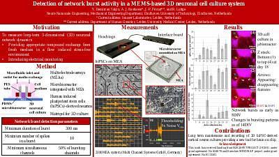 Detection of network burst activity in a MEMS-based 3D neuronal cell culture system
