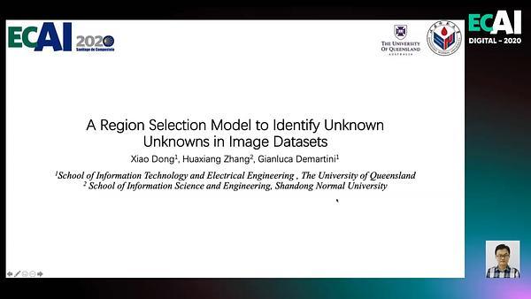 A Region Selection Model to Identify Unknown Unknowns in Image Datasets