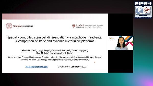 Spatially controlled stem cell differentiation via morphogen gradients: comparing static and dynamic microfluidic platforms