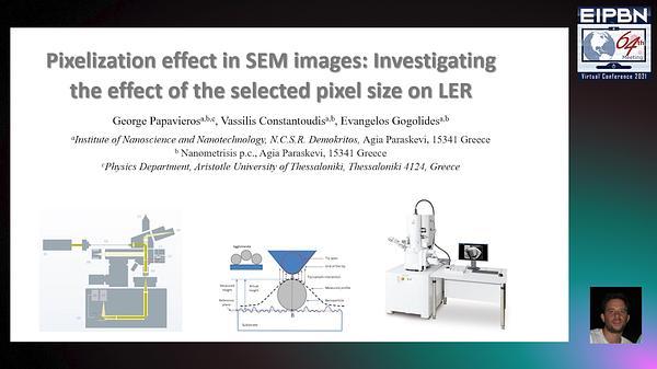 Computational Nanometrology in Line Edge Roughness Measurements: Noise and Pixelization Effects