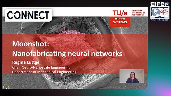 Moonshot: Nanofabricating neural networks