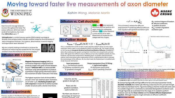 Moving toward faster measurements of micron-sized axon diameters in vivo