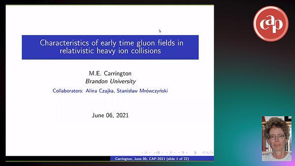 Characteristics of early time gluon fields in relativistic heavy ion collisions